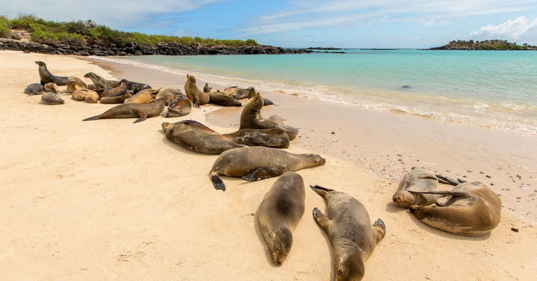 Española Island, Ecuador, Ecuador